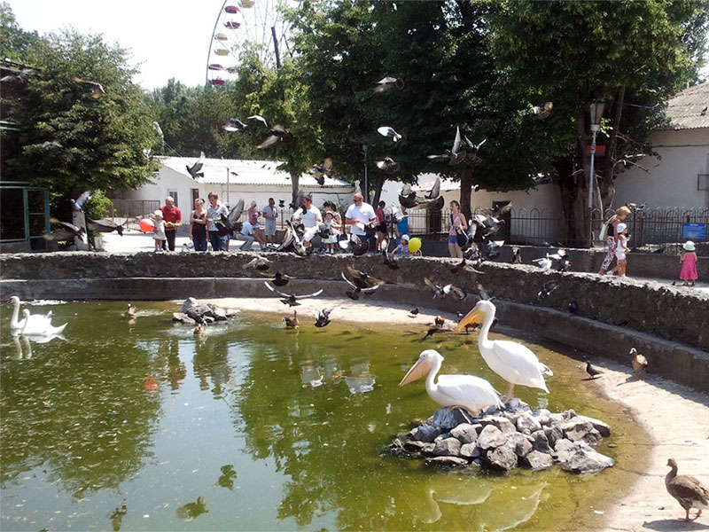 квартиры_посуточно_рядом_с_парком_Гагарина.jpg квартиры_посуточно_рядом_с_парком_Гагарина.jpg