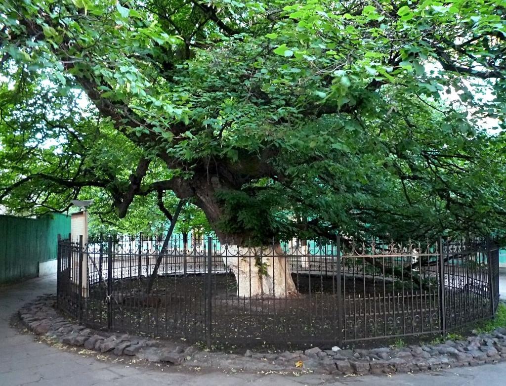 romanticheskie-mesta-kieva4_doba.ua.jpg romanticheskie-mesta-kieva4_doba.ua.jpg