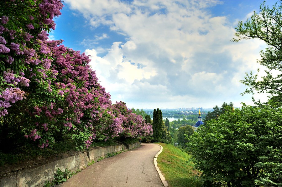romanticheskie-mesta-kieva2_doba.ua.jpg botanicheskiy-sad-im-grishko.jpg